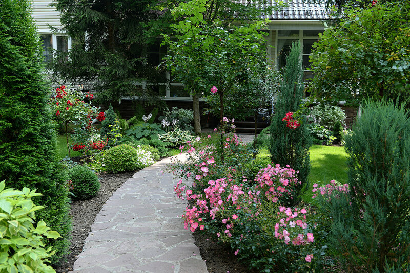 Самые выгодные предложения по покупке саженцев в Подмосковье от питомника “Колом Сад”