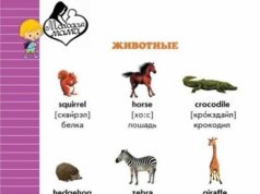 С чего начать учить английский язык с ребенком?