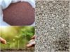 Сульфат аммония: жизненный эликсир для растений и почвы