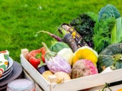 Особенности выбора фермерской продукции