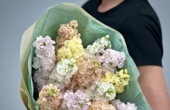 Тайный язык цветов — как передать чувства с помощью букетов?